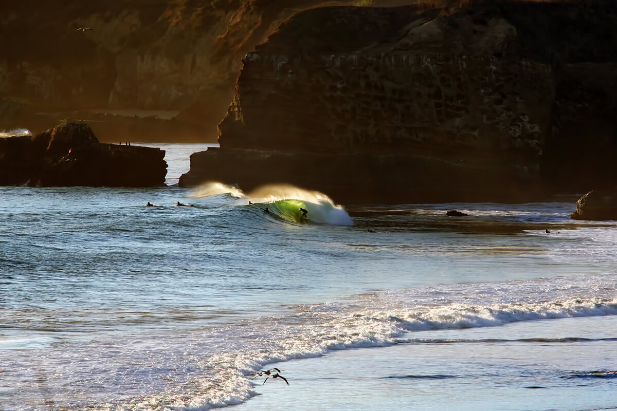 Ano Nuevo - Santa Cruz Surf Photography