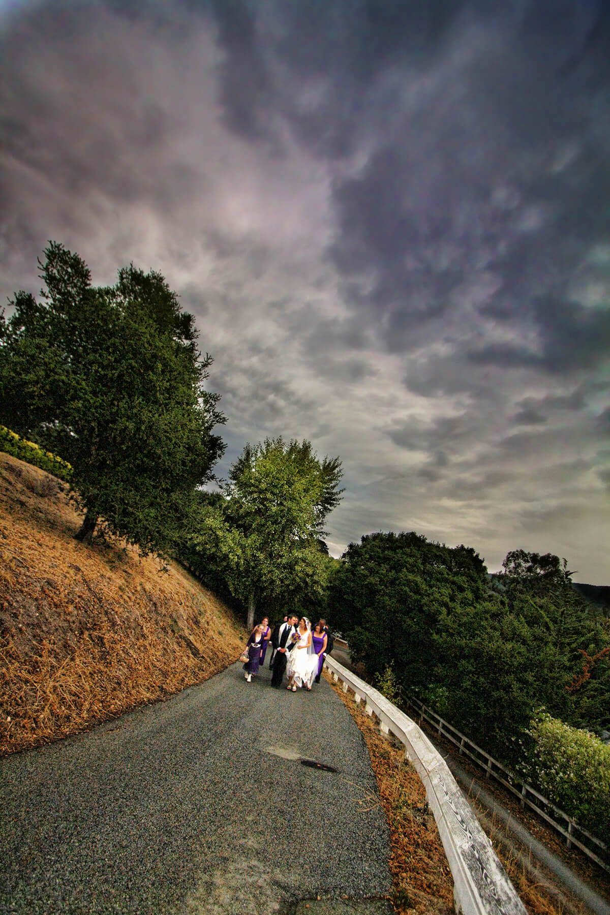 Santa Cruz Wedding Photography